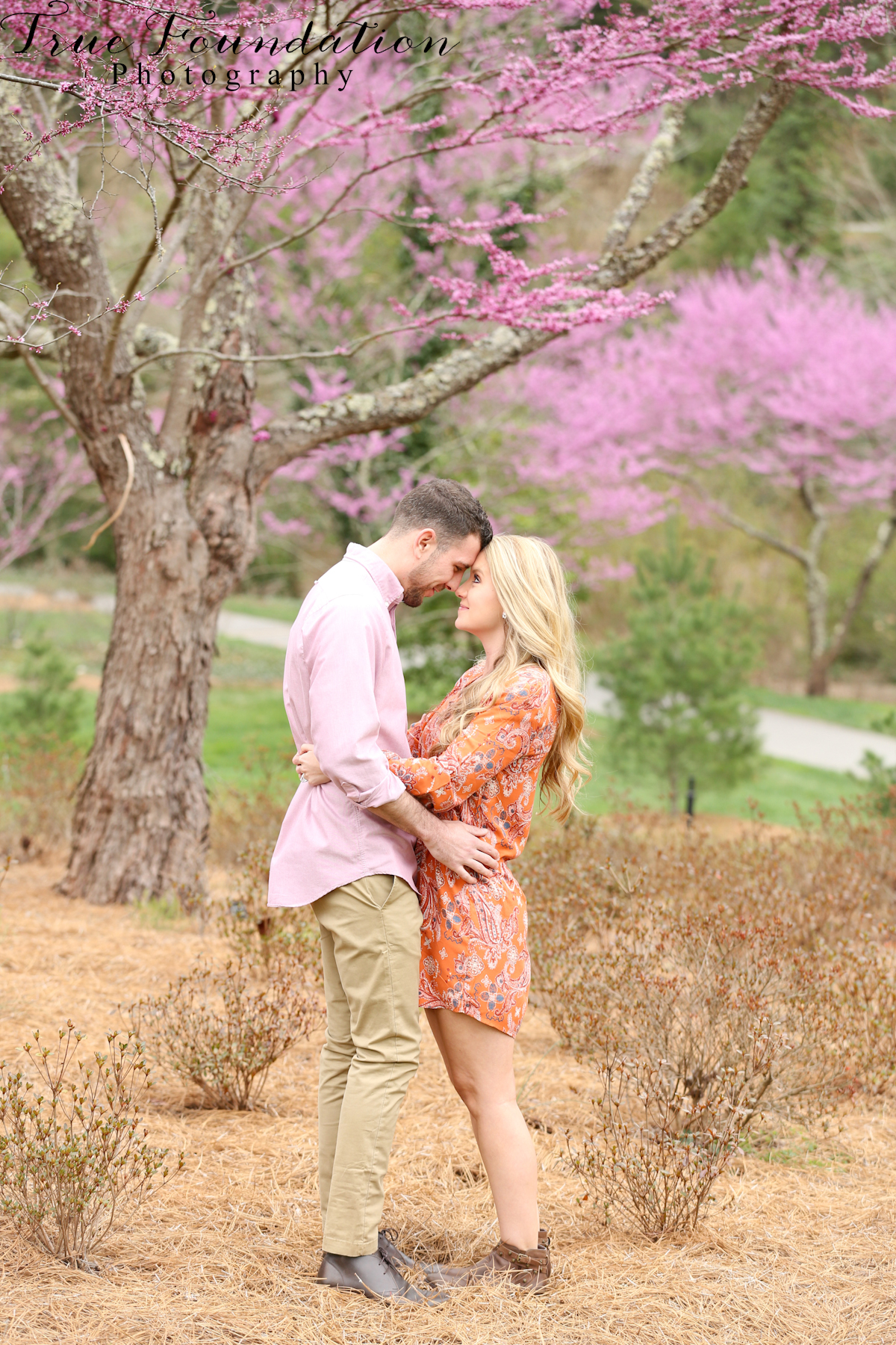 Hendersonville - Charlotte - Ashville - Biltmore Blooms - NC - North Carolina - Engagement - Photography - Wedding - Spring - Mountain - Destination - Photographer