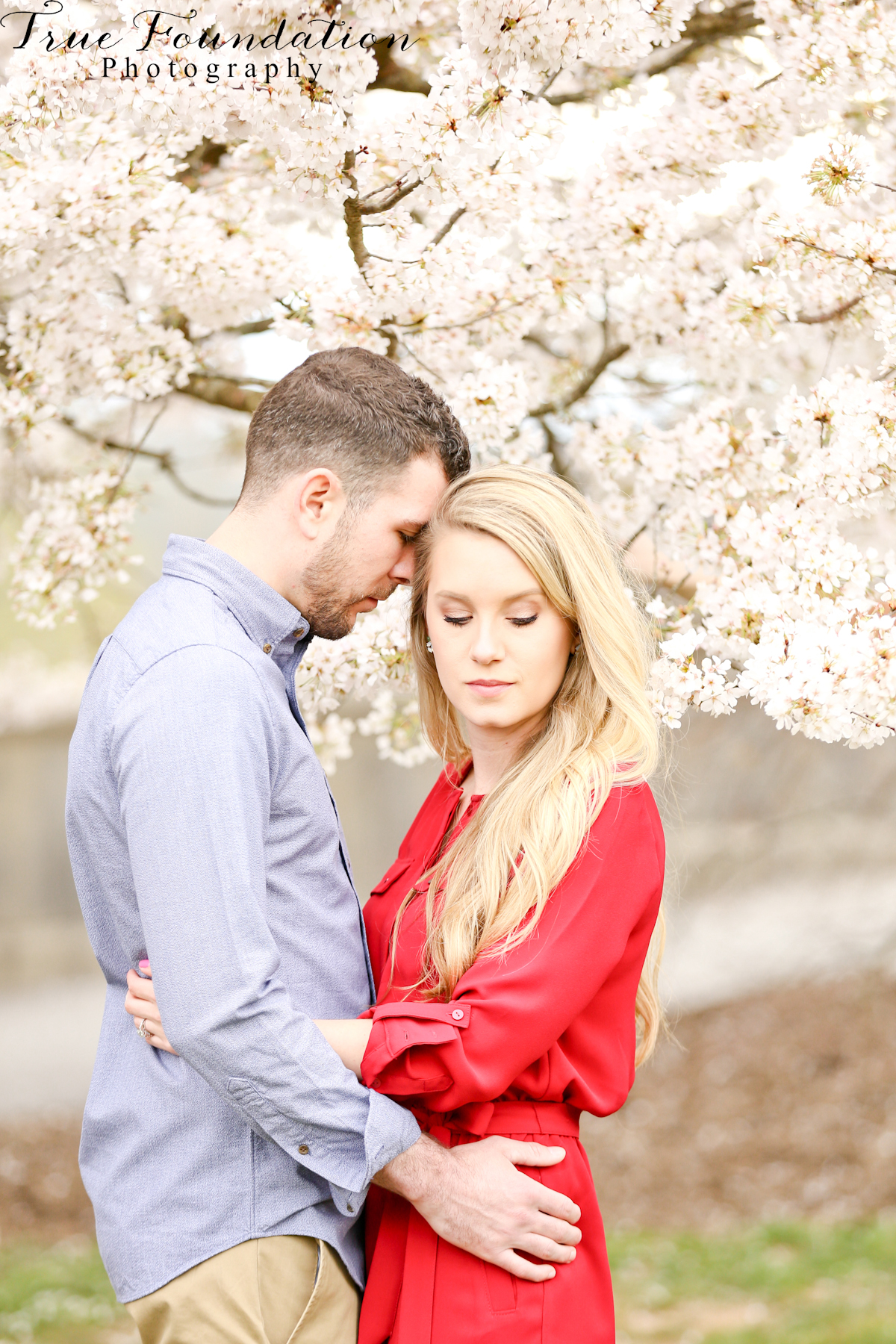 Hendersonville - NC - Engagement - Wedding - Photography - photo - photographer - Biltmore - Blooms - Asheville - Charlotte - Spring - session - shoot - couple (25)