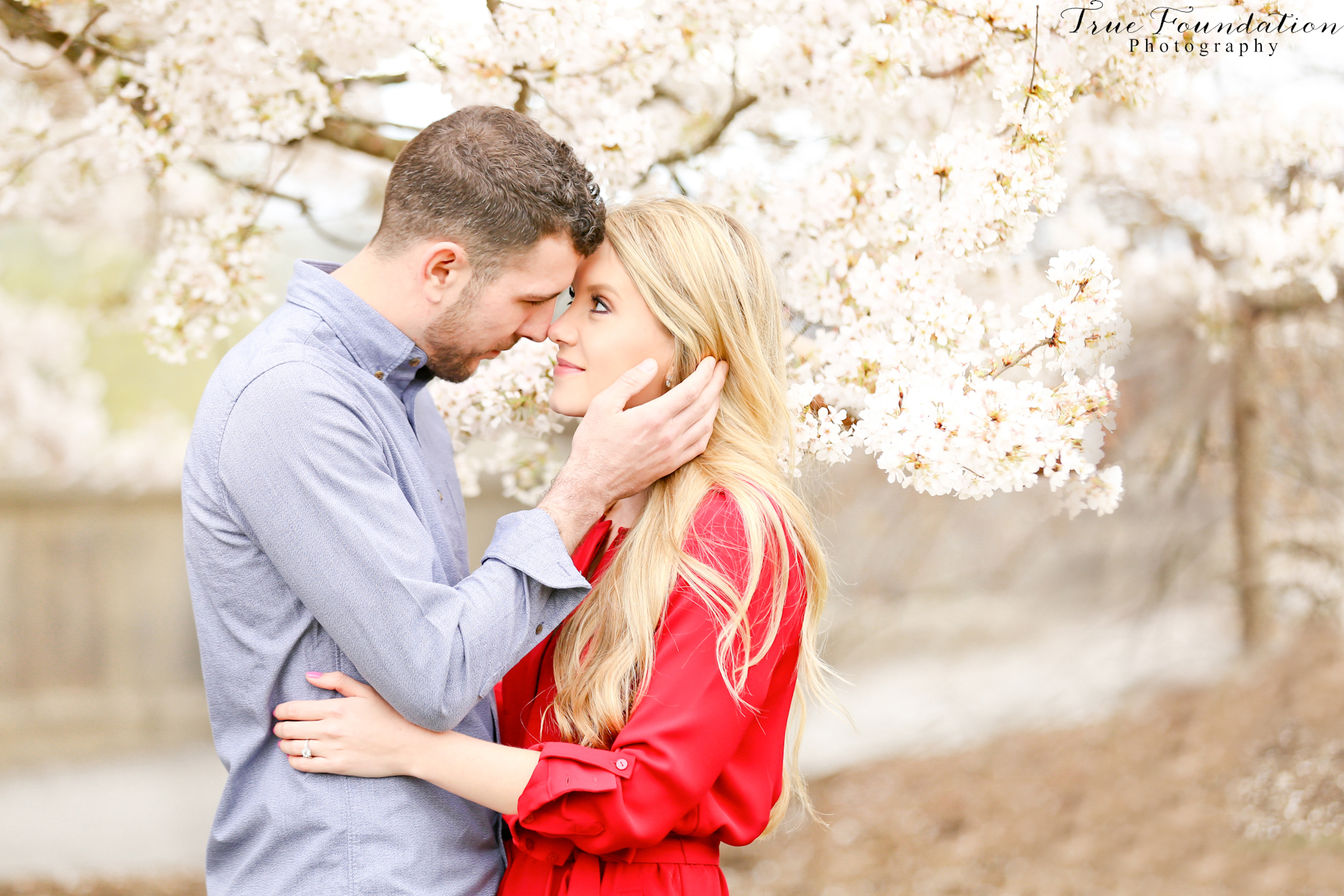 Hendersonville - NC - Engagement - Wedding - Photography - photo - photographer - Biltmore - Blooms - Asheville - Charlotte - Spring - session - shoot - couple (27)