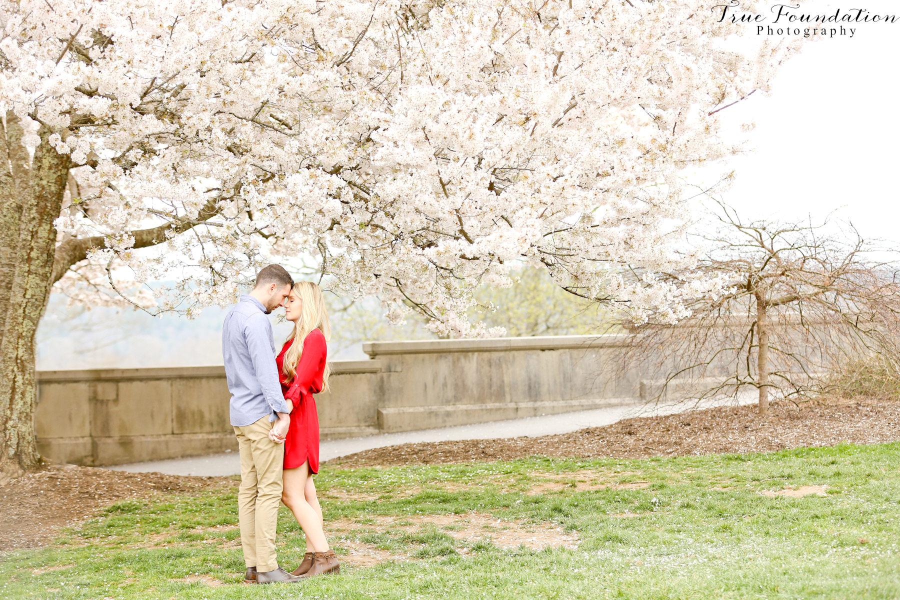 Hendersonville - NC - Engagement - Wedding - Photography - photo - photographer - Biltmore - Blooms - Asheville - Charlotte - Spring - session - shoot - couple (28)