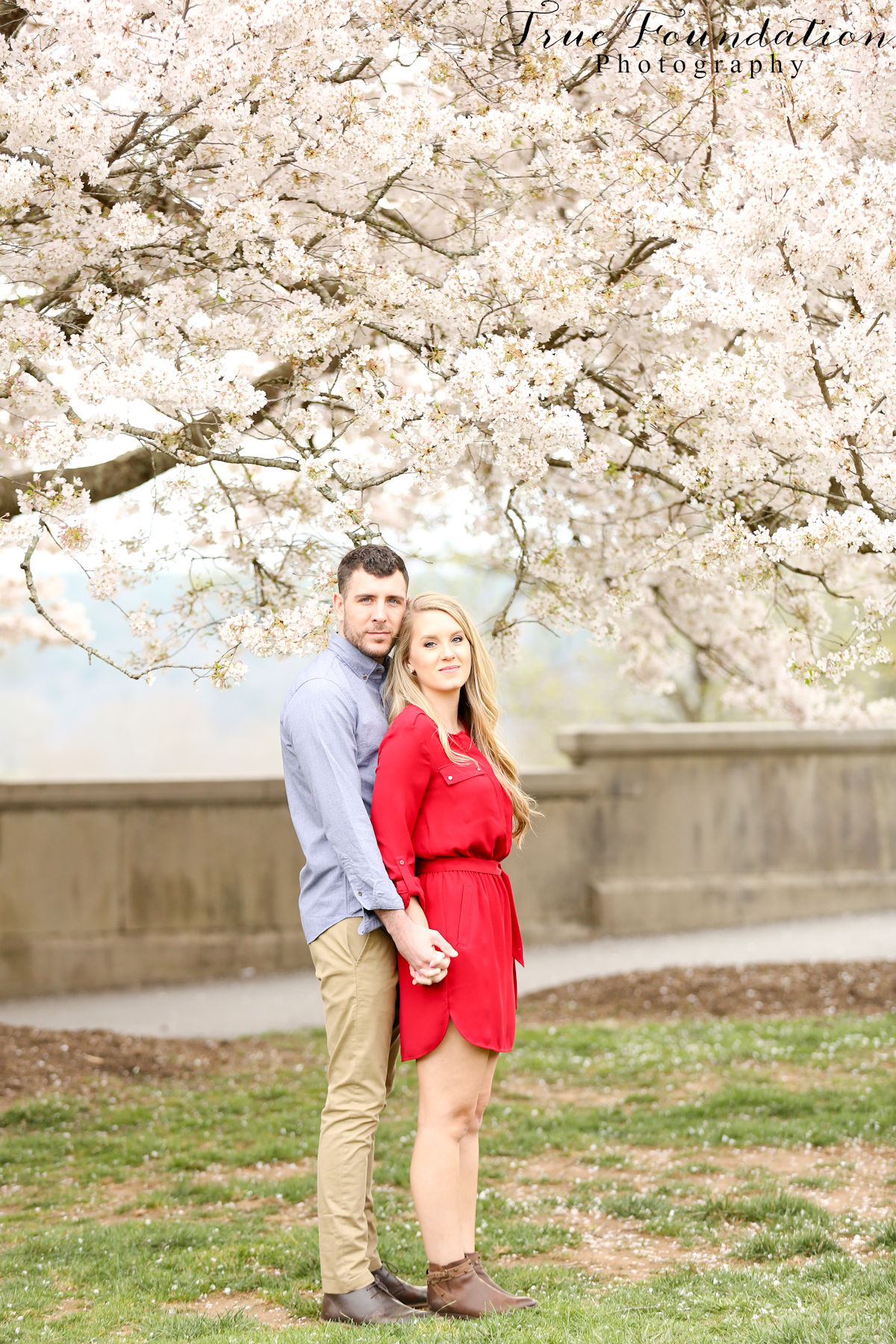 Hendersonville - NC - Engagement - Wedding - Photography - photo - photographer - Biltmore - Blooms - Asheville - Charlotte - Spring - session - shoot - couple (29)