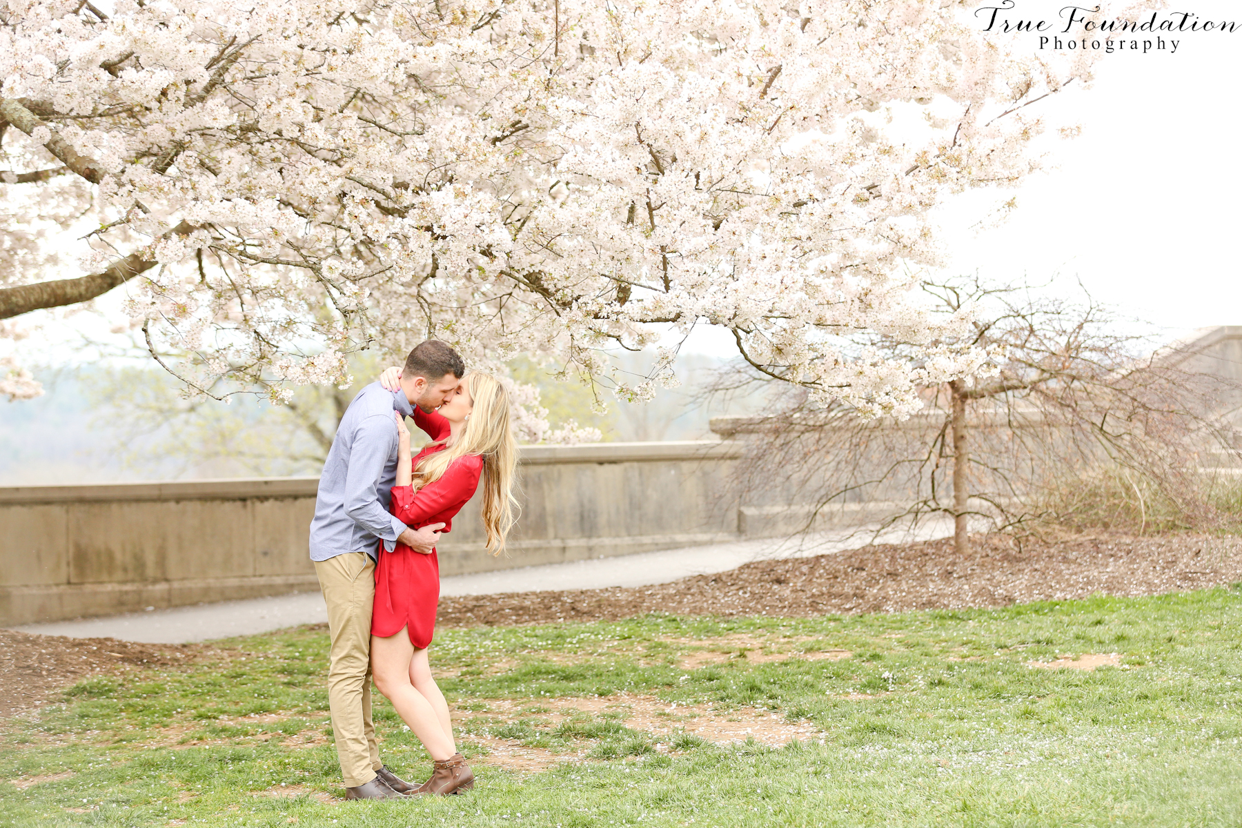 Hendersonville - NC - Engagement - Wedding - Photography - photo - photographer - Biltmore - Blooms - Asheville - Charlotte - Spring - session - shoot - couple (30)