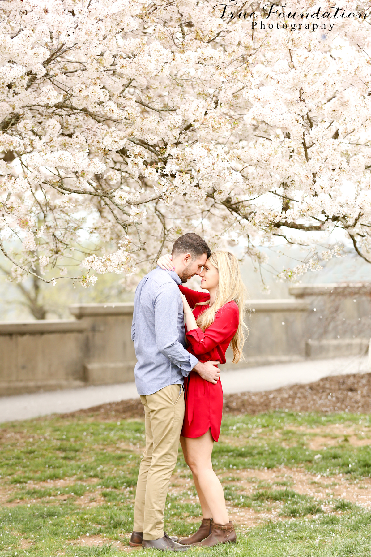 Hendersonville - NC - Engagement - Wedding - Photography - photo - photographer - Biltmore - Blooms - Asheville - Charlotte - Spring - session - shoot - couple (31)