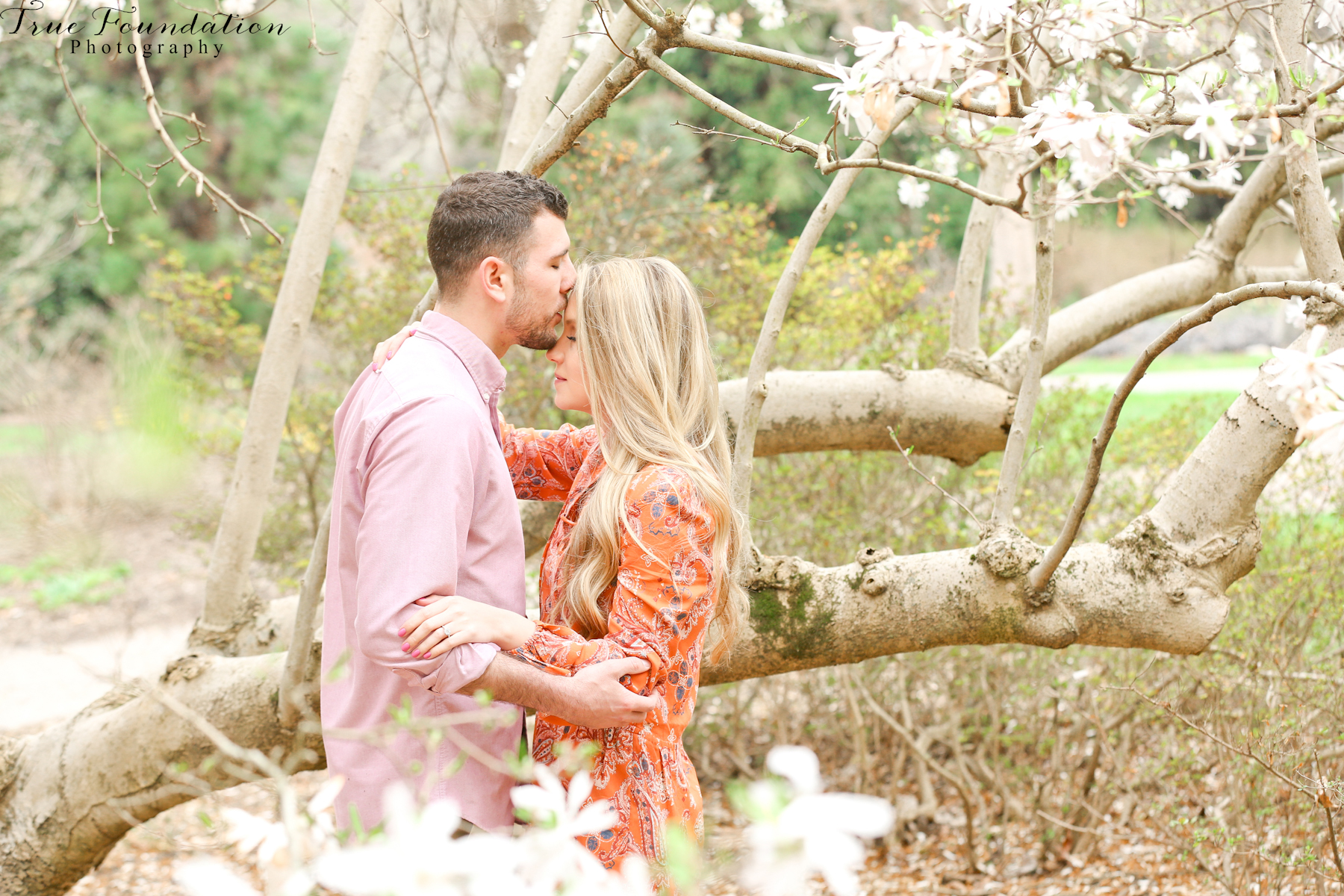 Hendersonville - NC - Engagement - Wedding - Photography - photo - photographer - Biltmore - Blooms - Asheville - Charlotte - Spring - session - shoot - couple (4)