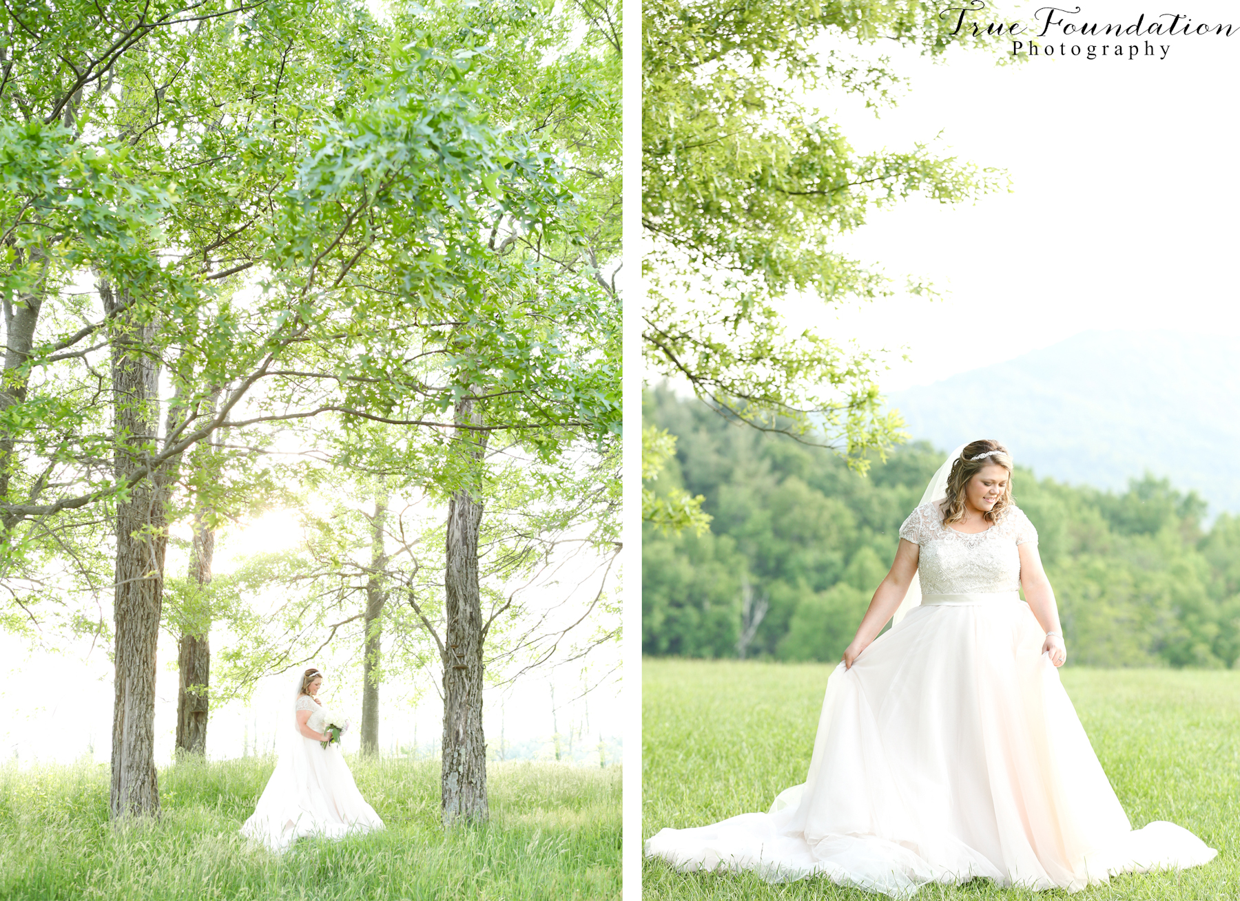 Hendersonville - NC - Wedding - Photography - Grand - Highlands - Bear - Wallow - Mountain - North - Carolina - Bridal - Portraits - Photos (30)