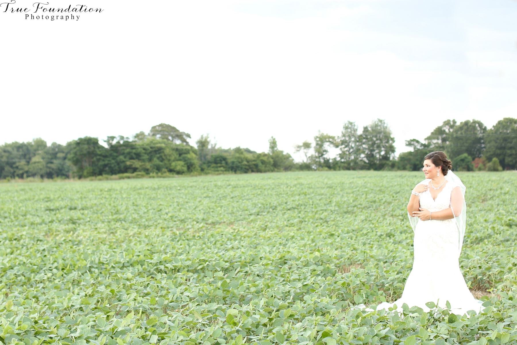 Bridal - Portrait - Photography - Photos - Hendersonville - NC - Shelby - Photographers - Farm - Country - Pinterest - Bride (25)