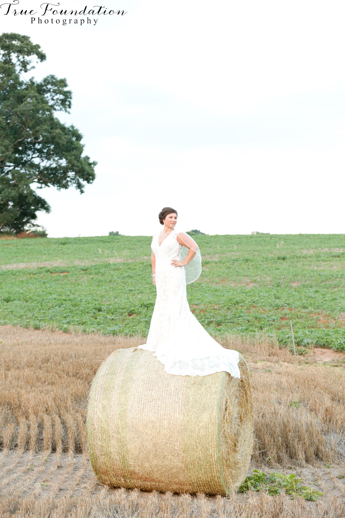 Bridal - Portrait - Photography - Photos - Hendersonville - NC - Shelby - Photographers - Farm - Country - Pinterest - Bride (49)