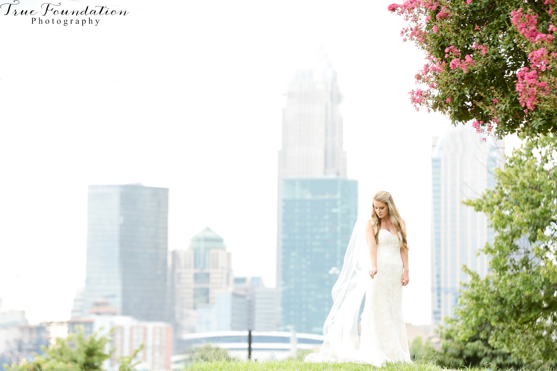 Charlotte - North - Carolina - Wedding - Photography - Bridal - Portrait - City - Skyline - NC - Photographers - Park - Bride (20)-1