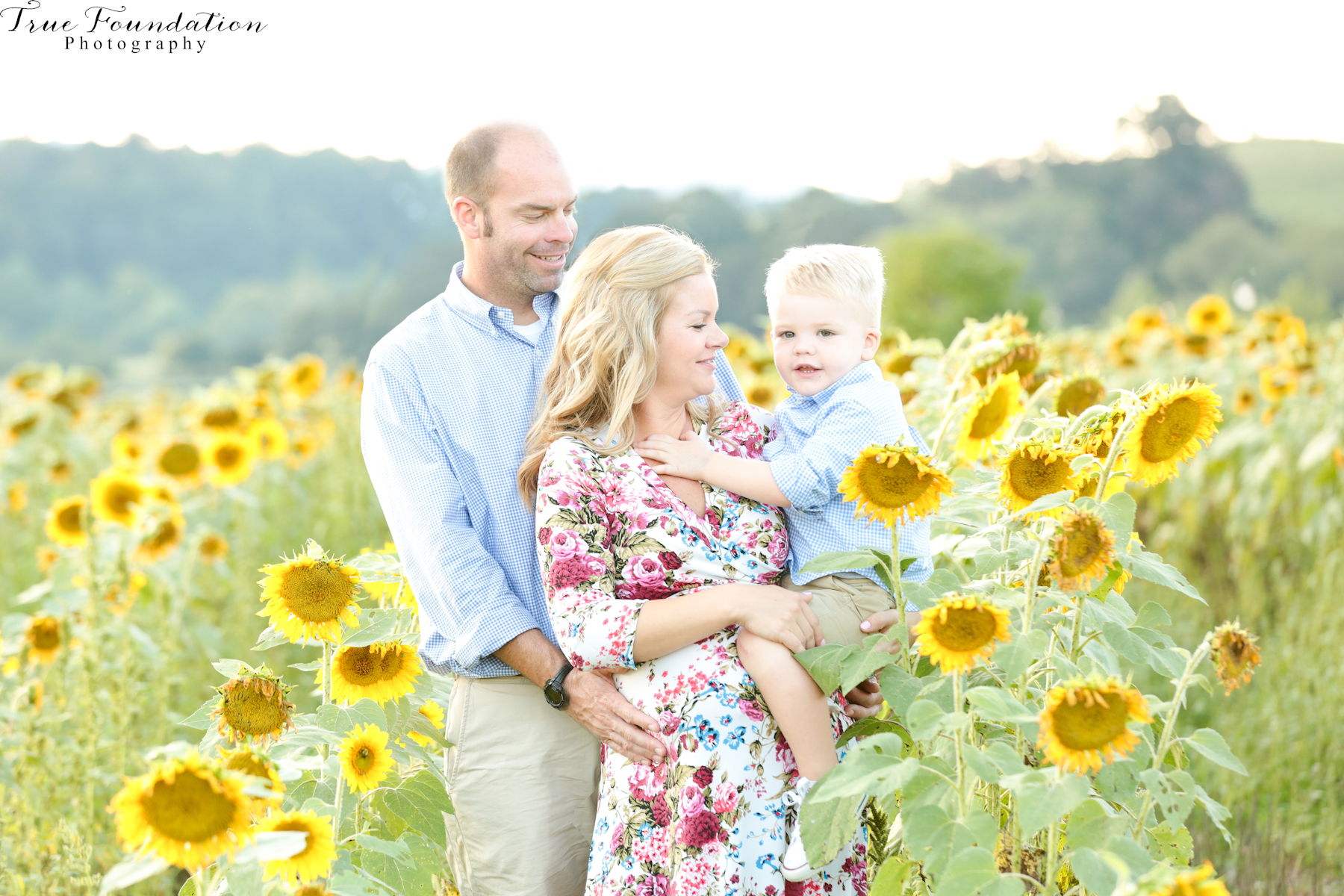 hendersonville-asheville-nc-maternity-photographer-photography-biltmore-estate-house-antler-hill-village-sunflowers-blooms-photos-blush-pink-dress-greenvi-1