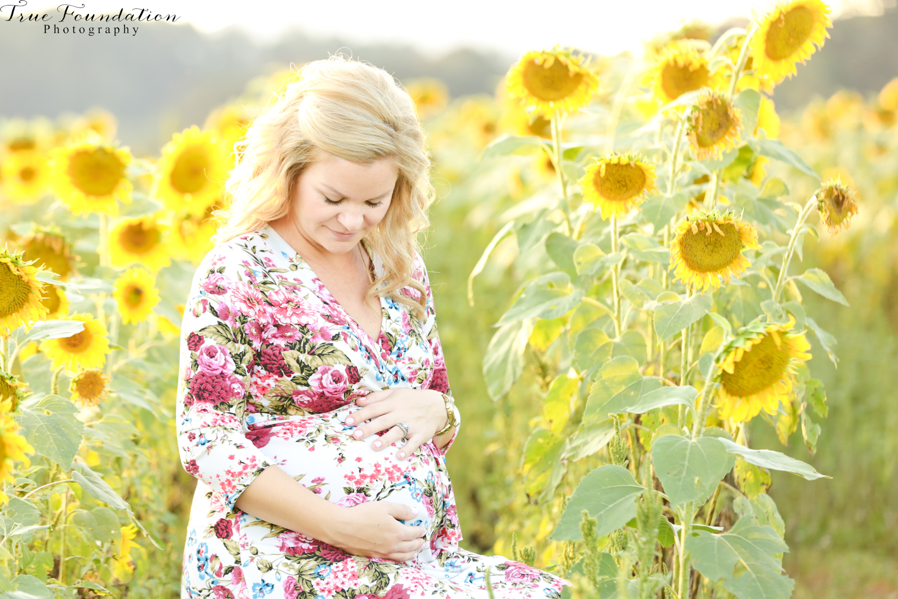 hendersonville-asheville-nc-maternity-photographer-photography-biltmore-estate-house-antler-hill-village-sunflowers-blooms-photos-blush-pink-dress-greenvi-11