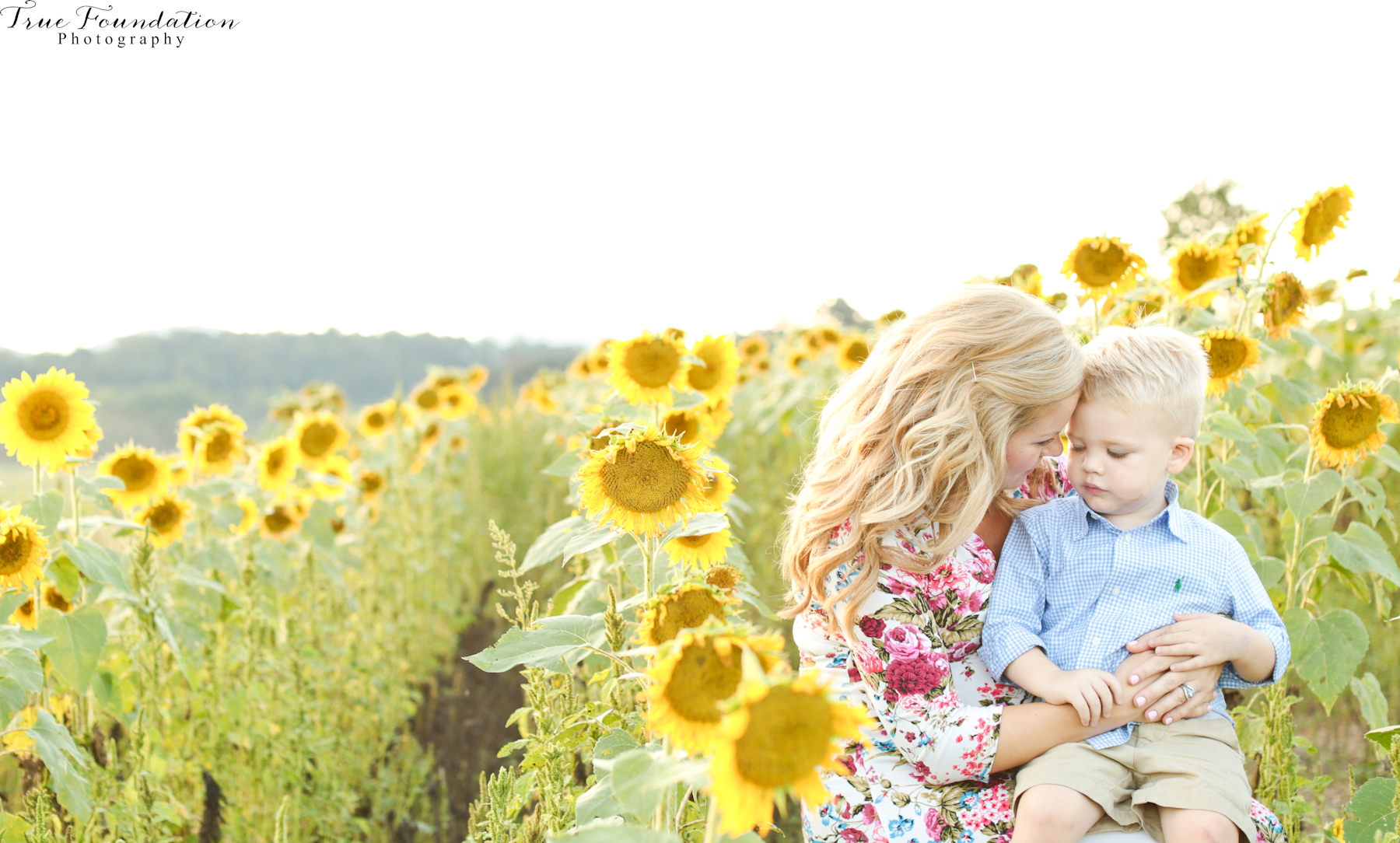 hendersonville-asheville-nc-maternity-photographer-photography-biltmore-estate-house-antler-hill-village-sunflowers-blooms-photos-blush-pink-dress-greenvi-15