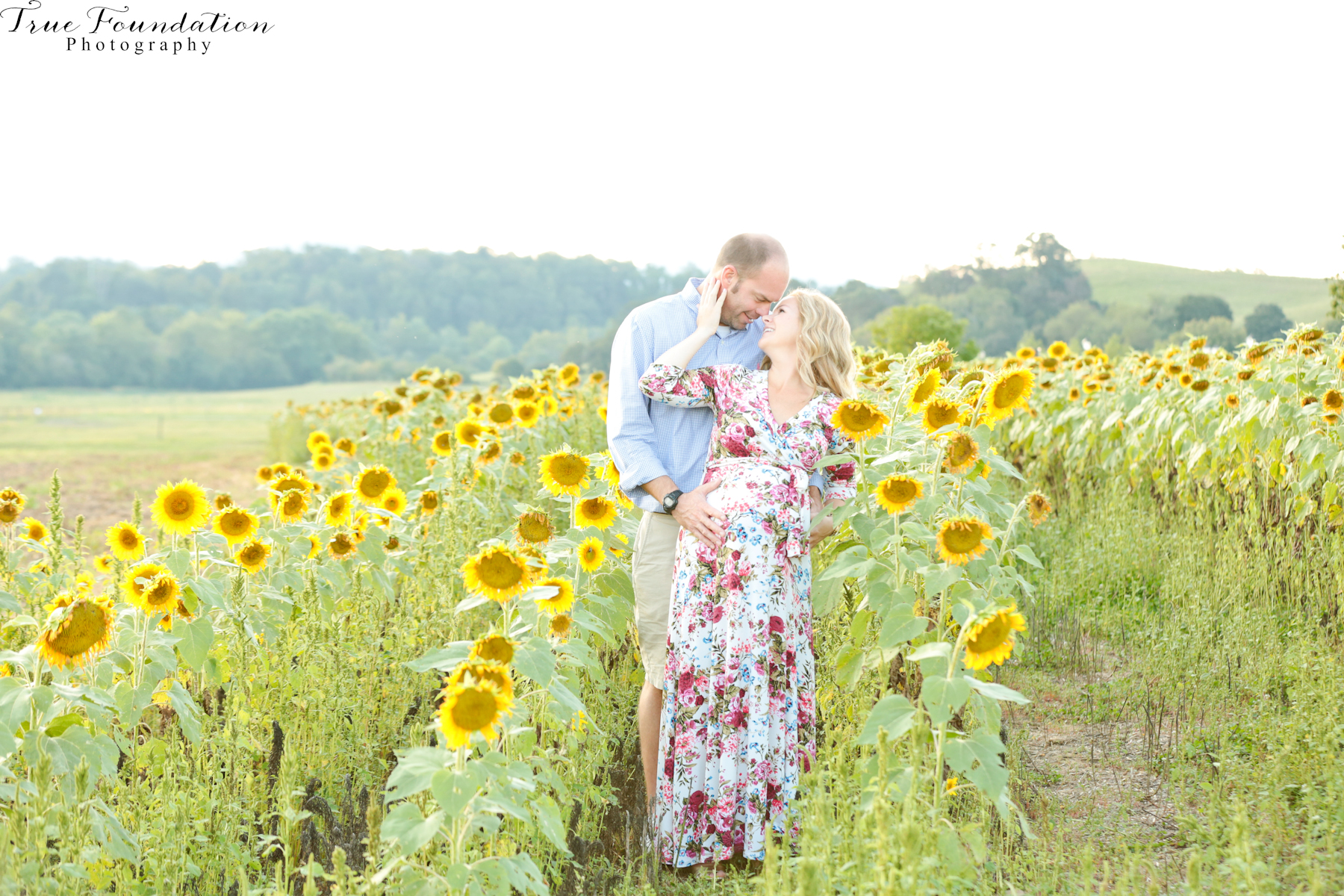 hendersonville-asheville-nc-maternity-photographer-photography-biltmore-estate-house-antler-hill-village-sunflowers-blooms-photos-blush-pink-dress-greenvi-2