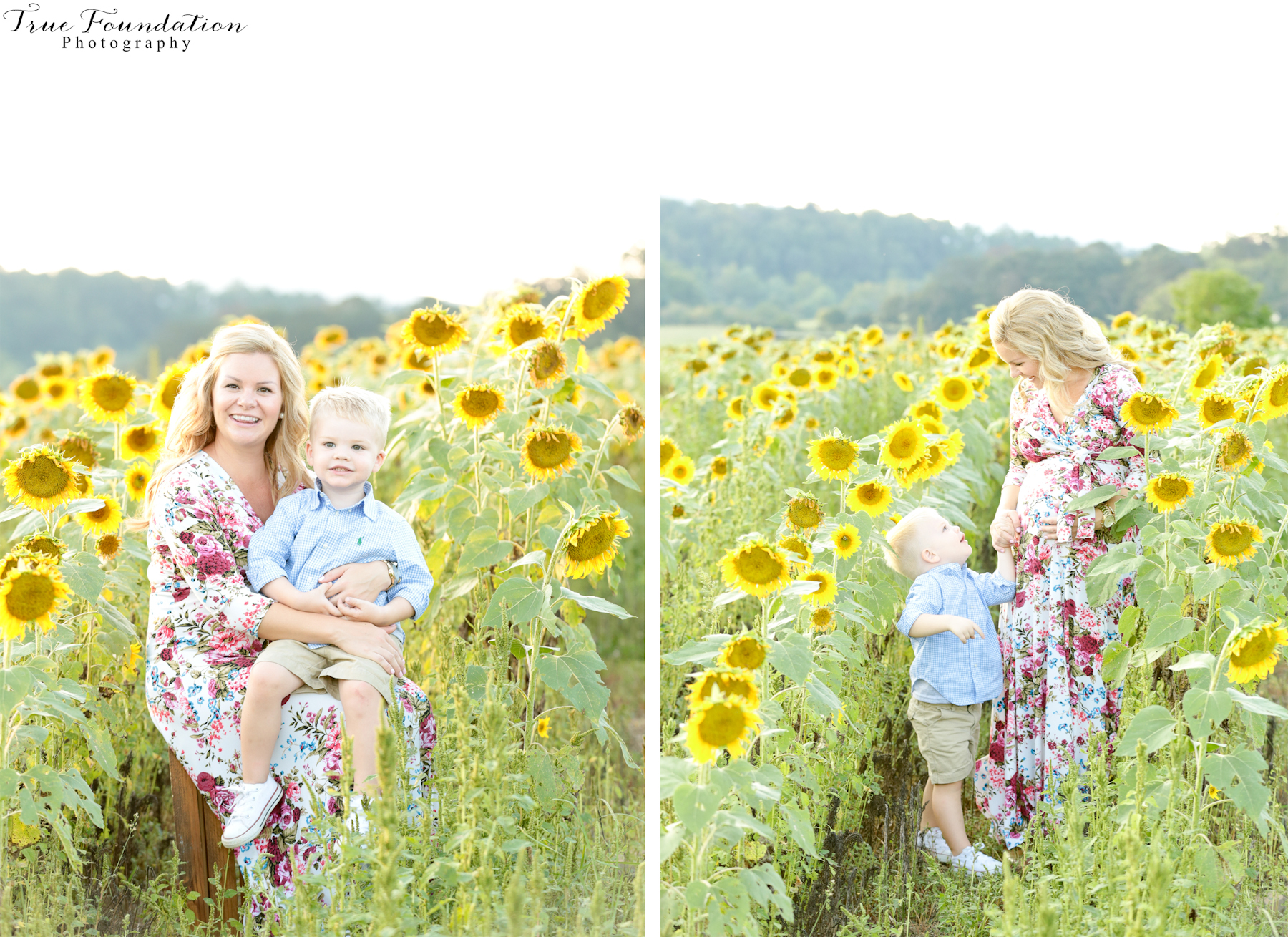hendersonville-asheville-nc-maternity-photographer-photography-biltmore-estate-house-antler-hill-village-sunflowers-blooms-photos-blush-pink-dress-greenvi-20