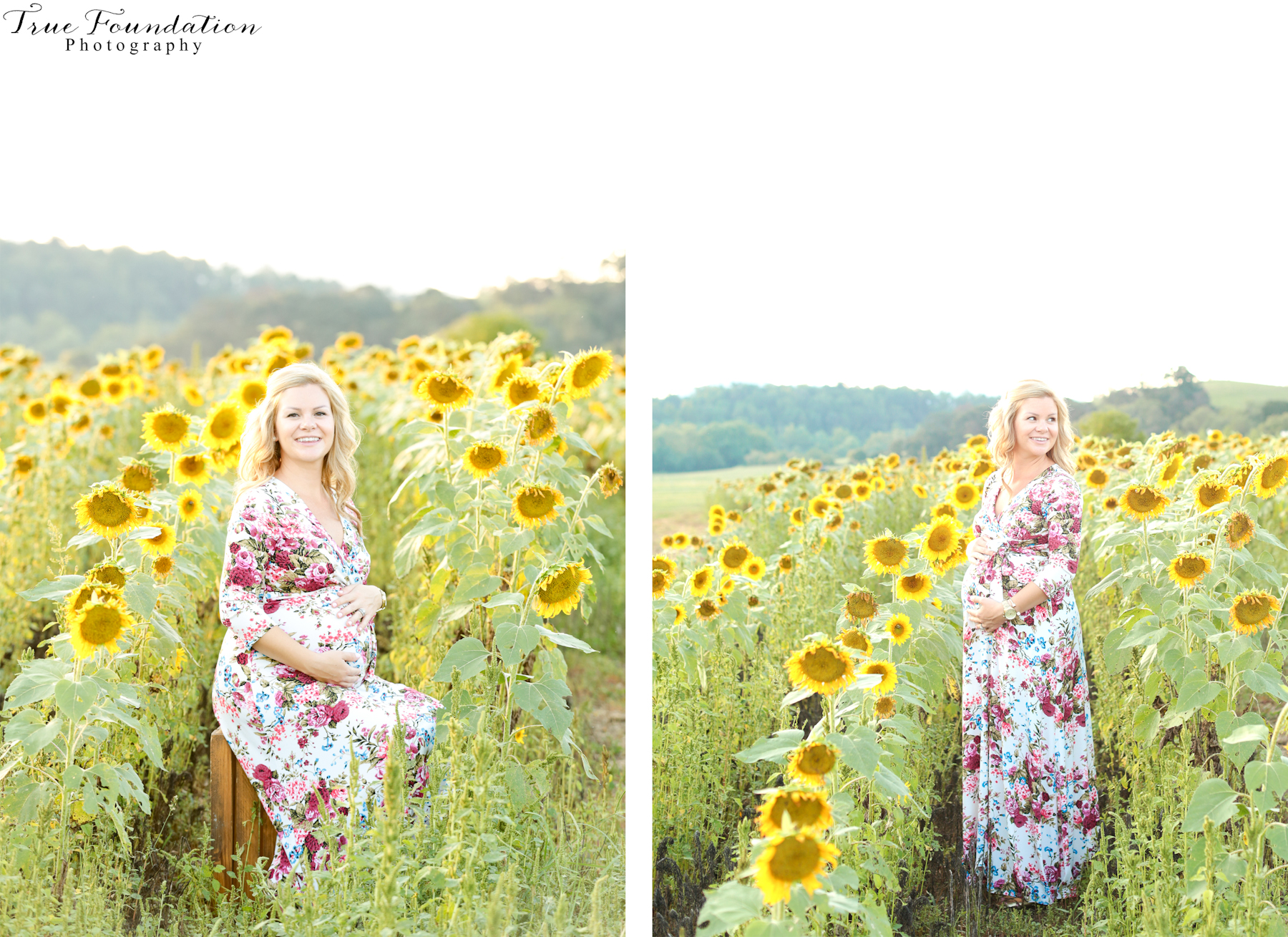 hendersonville-asheville-nc-maternity-photographer-photography-biltmore-estate-house-antler-hill-village-sunflowers-blooms-photos-blush-pink-dress-greenvi-23