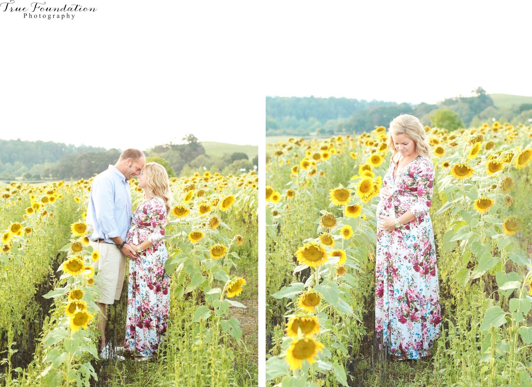 hendersonville-asheville-nc-maternity-photographer-photography-biltmore-estate-house-antler-hill-village-sunflowers-blooms-photos-blush-pink-dress-greenvi-25