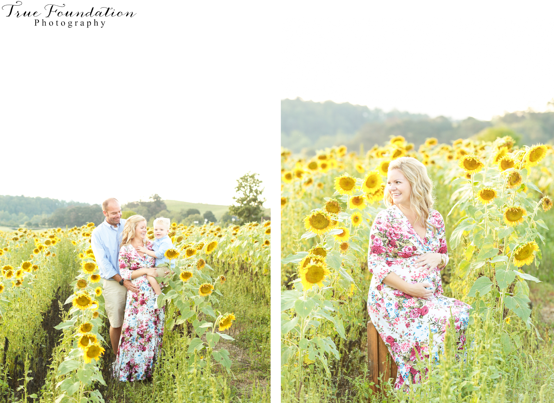 hendersonville-asheville-nc-maternity-photographer-photography-biltmore-estate-house-antler-hill-village-sunflowers-blooms-photos-blush-pink-dress-greenvi-26
