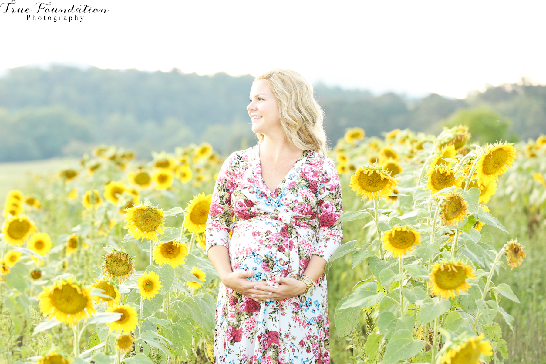 hendersonville-asheville-nc-maternity-photographer-photography-biltmore-estate-house-antler-hill-village-sunflowers-blooms-photos-blush-pink-dress-greenvi-29