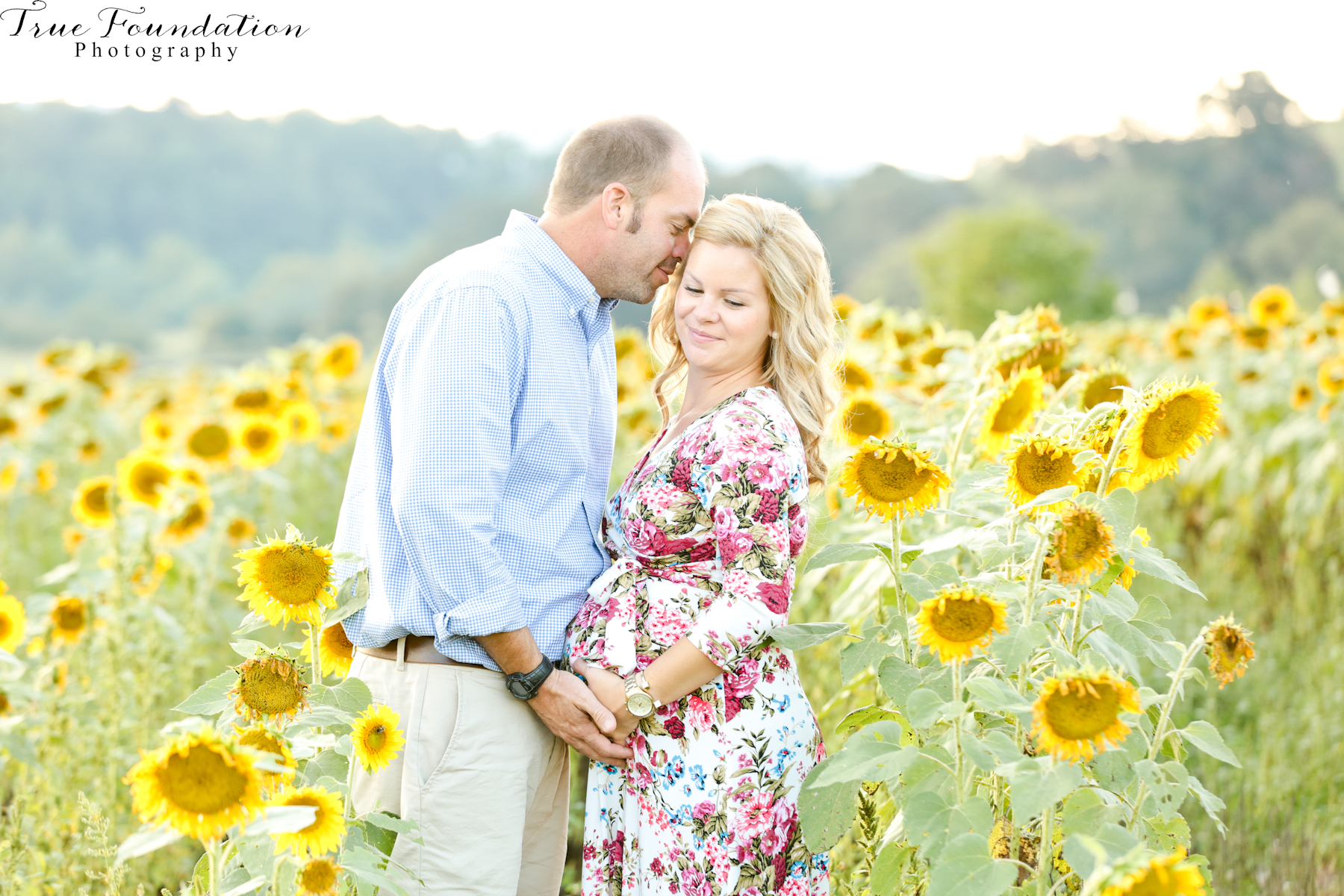 hendersonville-asheville-nc-maternity-photographer-photography-biltmore-estate-house-antler-hill-village-sunflowers-blooms-photos-blush-pink-dress-greenvi-4
