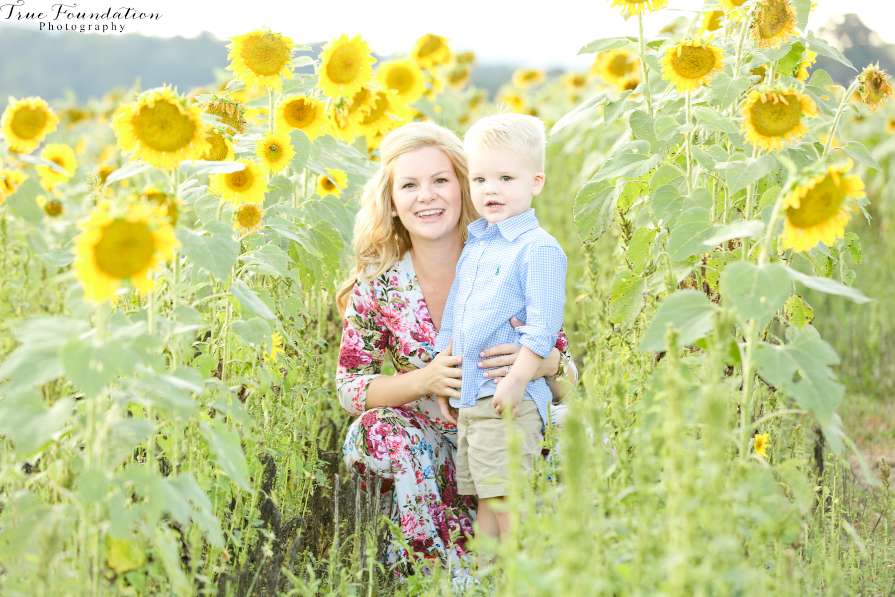 hendersonville-asheville-nc-maternity-photographer-photography-biltmore-estate-house-antler-hill-village-sunflowers-blooms-photos-blush-pink-dress-greenville-2