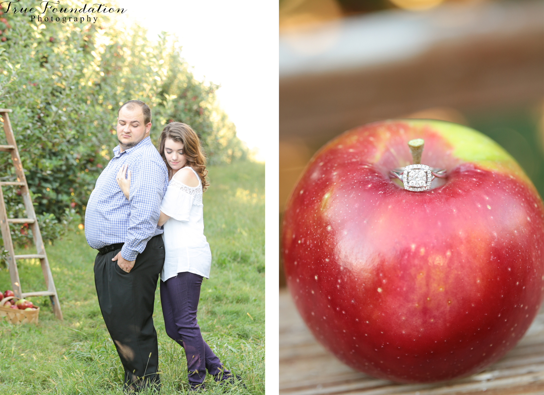 engagement-photographer-wedding-photography-hendersonville-nc-apple-picking-photos-11