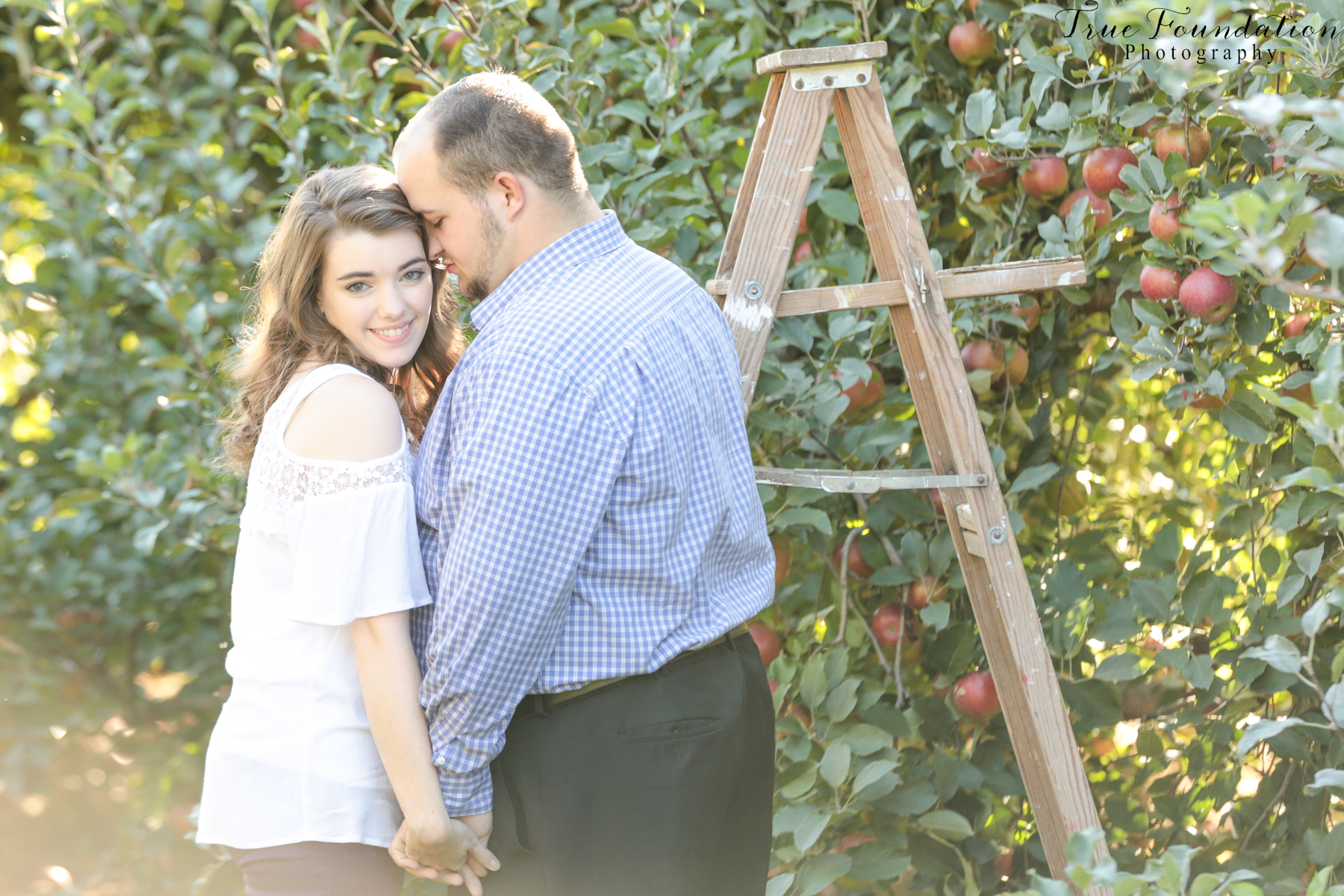 engagement-photographer-wedding-photography-hendersonville-nc-apple-picking-photos-17
