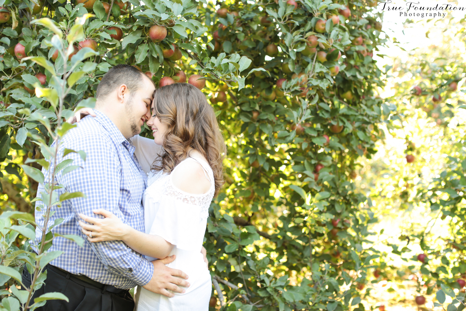 engagement-photographer-wedding-photography-hendersonville-nc-apple-picking-photos-3
