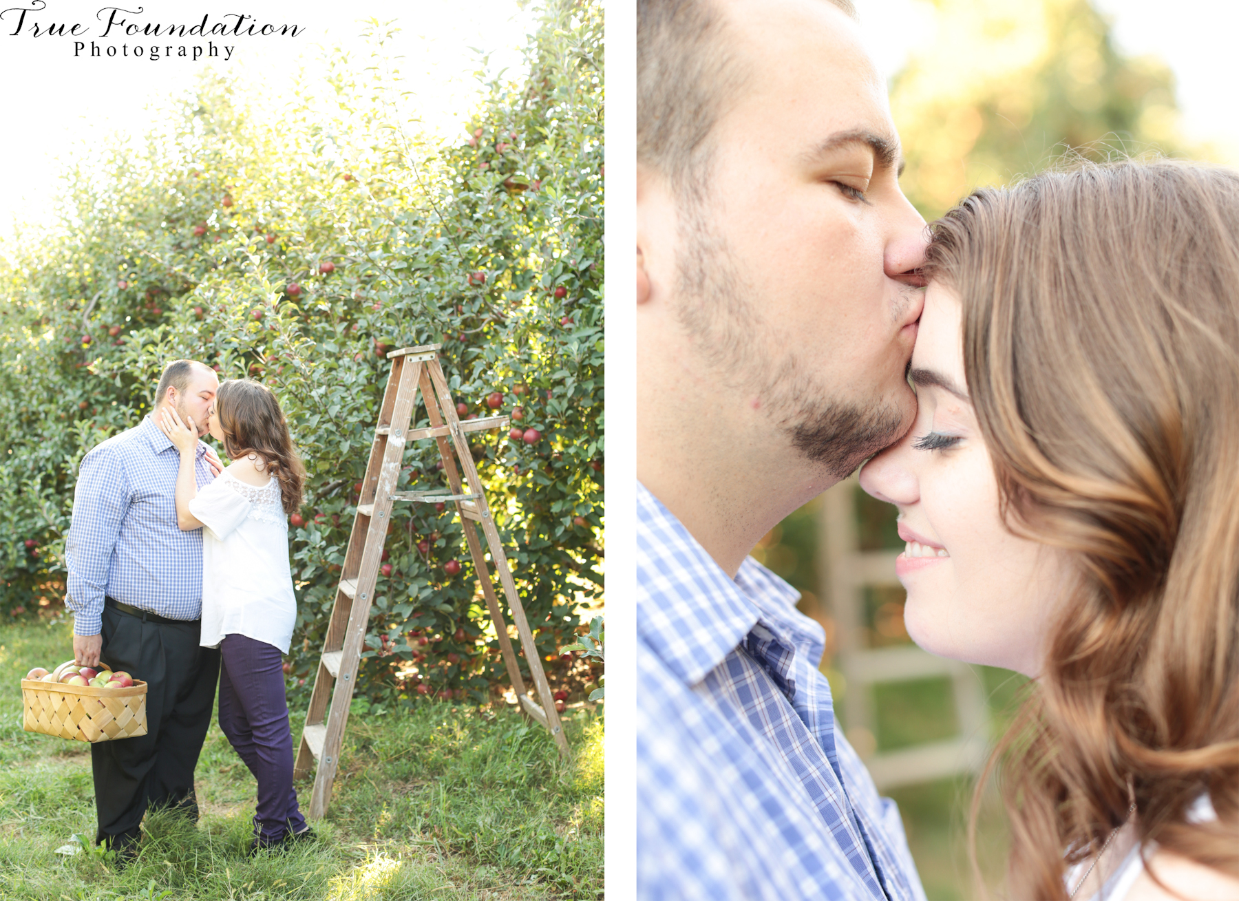 engagement-photographer-wedding-photography-hendersonville-nc-apple-picking-photos-6