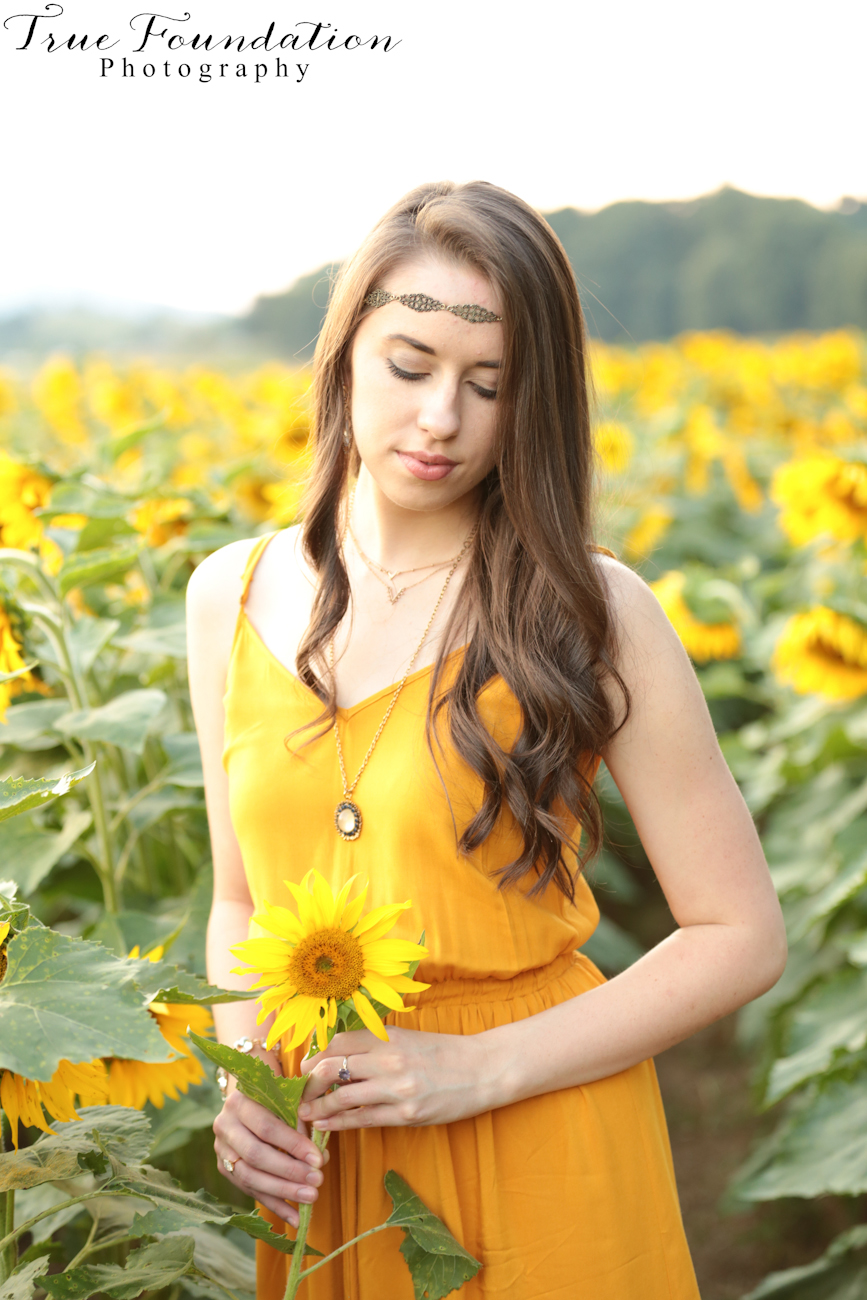 Hendersonville, NC Photography | The Sunflower Adventure